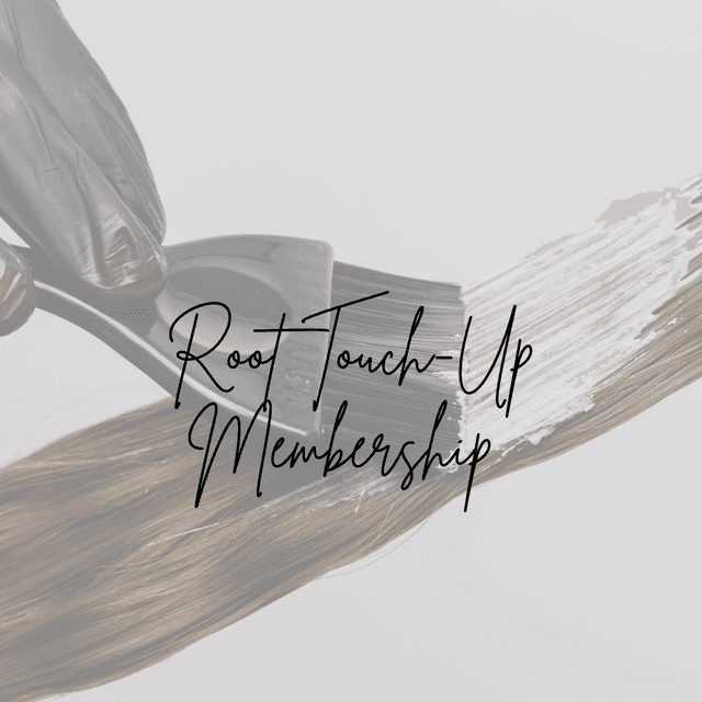 Root Touch-Up Membership at Hair By Gaby in Scottsdale, AZ